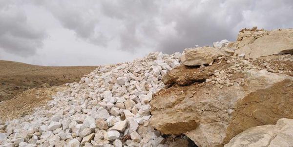 شرکت واردات و صادرات صدف خوراکی در تهران